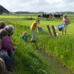 Spelers en publiek bij de voorstelling VeeVeeVee van Karlijn Kistemaker