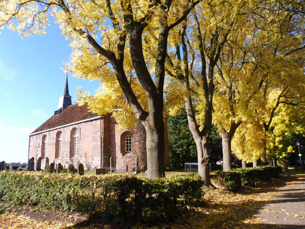 Goud essen in de herfst